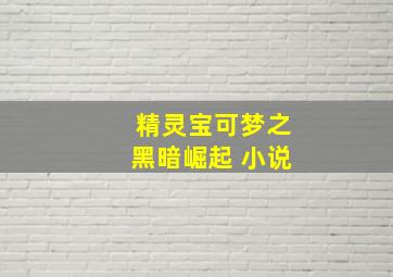 精灵宝可梦之黑暗崛起 小说